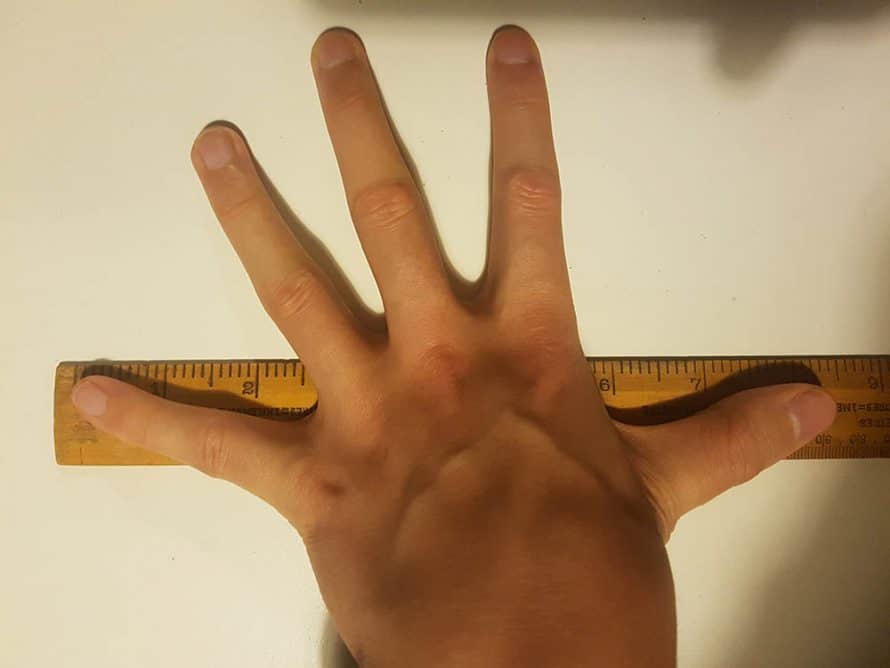 How To Better At Palming A Basketball Hoopsbeast