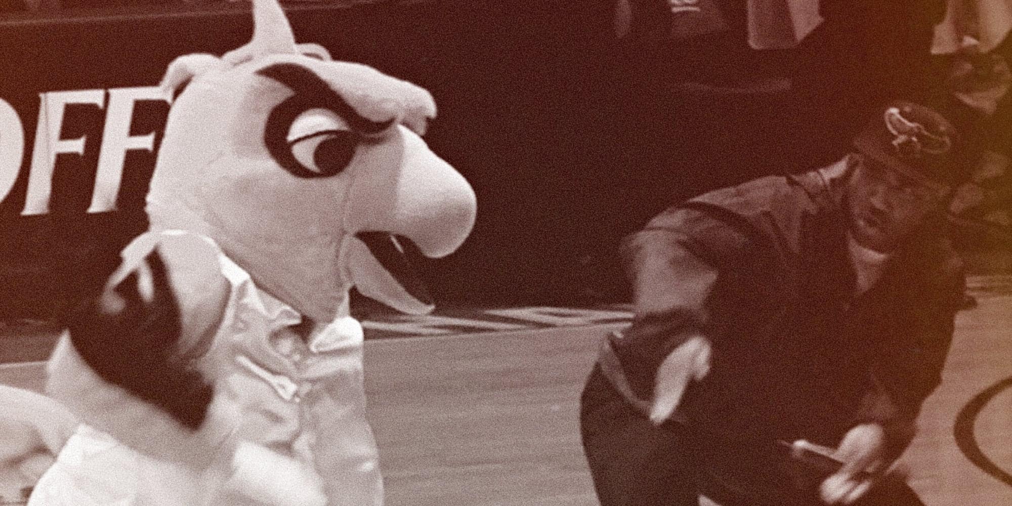 We’ve Investigated How Much NBA Mascots Make